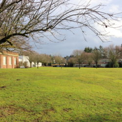 Primary Courtyard